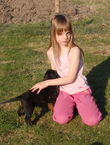 Heta ja pentu