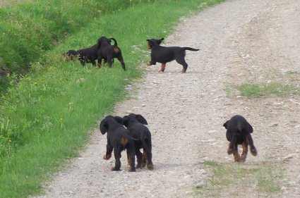 Kiinnostavaa