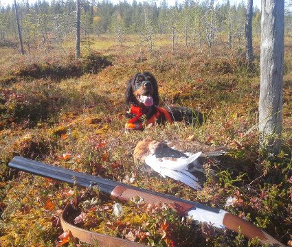 Riekkometill�