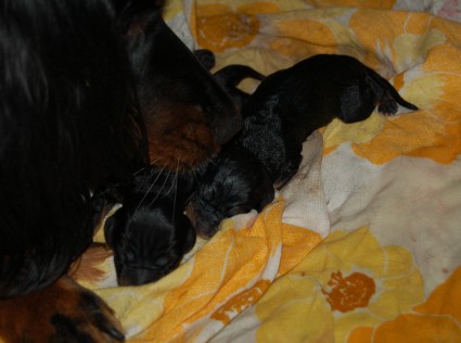 Nyt n�it� on jo l�j�...