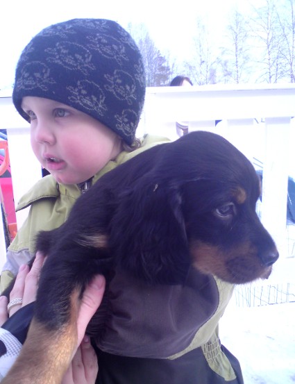 Kotiin l�hd�ss�