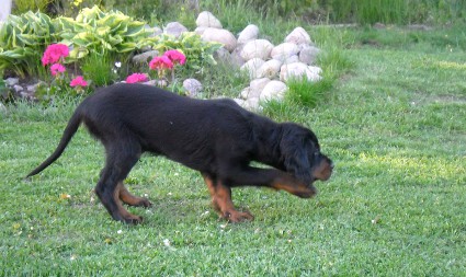Seisonta