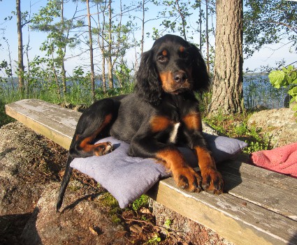 Vattu ottaa rennosti