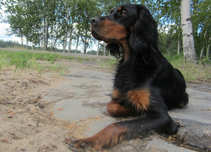 Milla lomailee