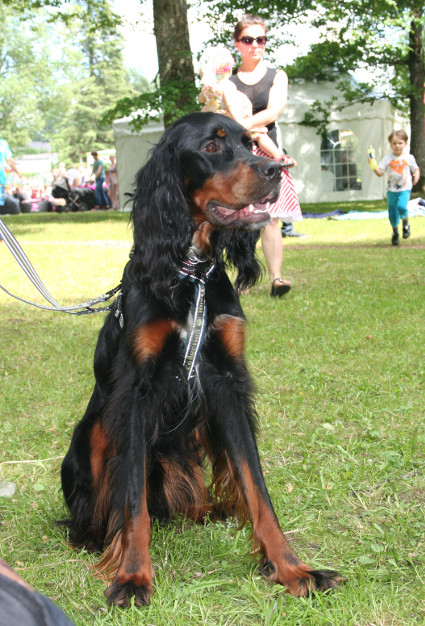 Uuno