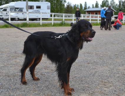 Valtteri