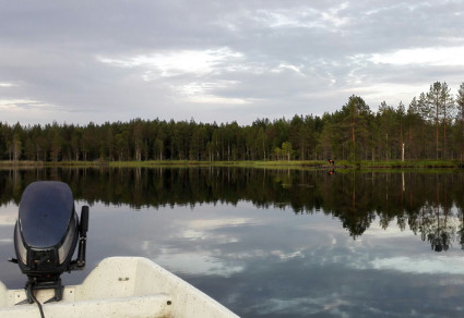 Vihtori ja tavit