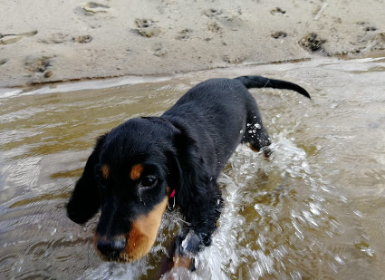 Wilma