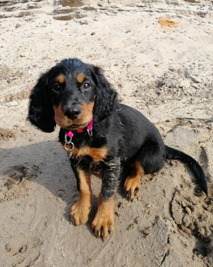 Wilma