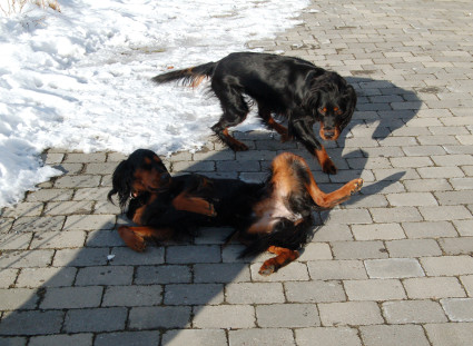 Onnistuisko n�in p�in?
