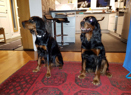 Myrtti ja Iris