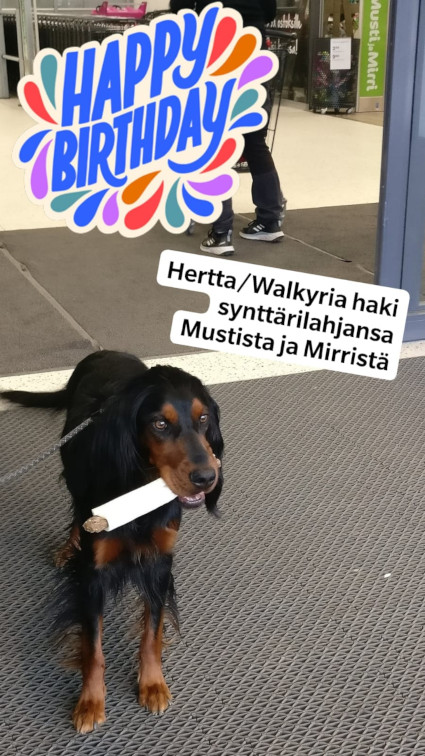 Hertta