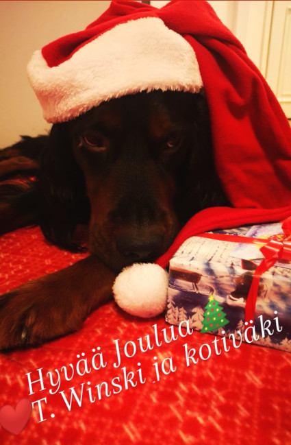 Hyv�� Joulua Winskilt�