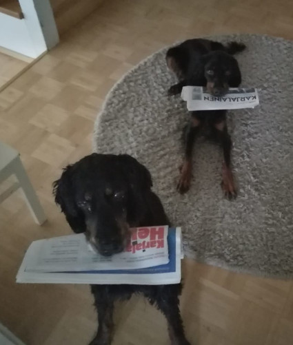 Olga ja Elsa