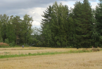 Remu ja Jari