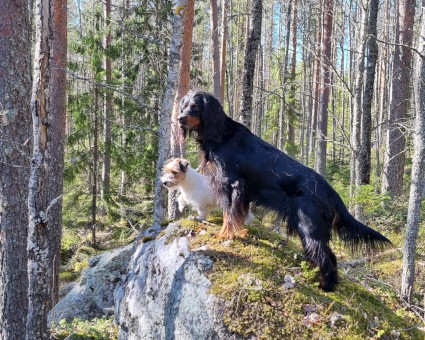 Elsa ja Sylvi