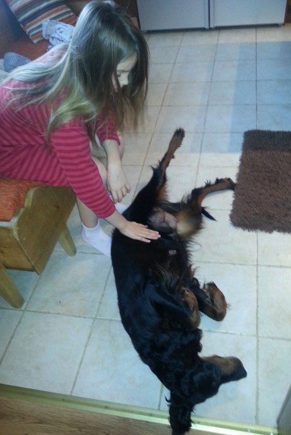 Heta hoitaa