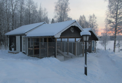 Koirien talo
