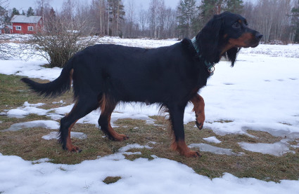 Viikko aikaa