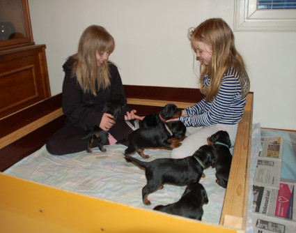 Anni ja Ronja