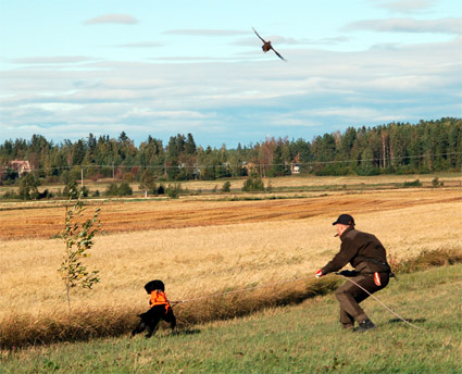 Paikka