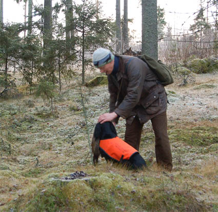 Kiitos