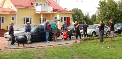 Juha koirana