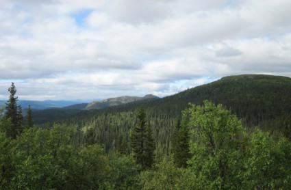 Maisemaa