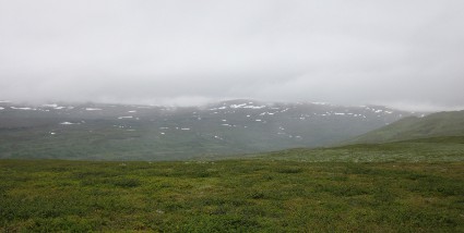 Maisemaa