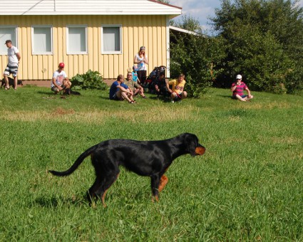 Vattu