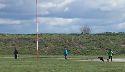 Vihtori