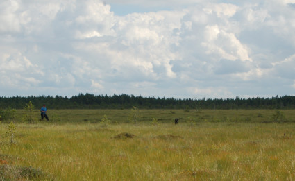 Hakua