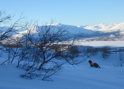 Vattu jahdissa