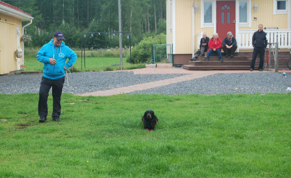 Noora ja Pekka