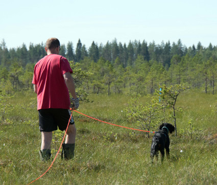 Piikkaus