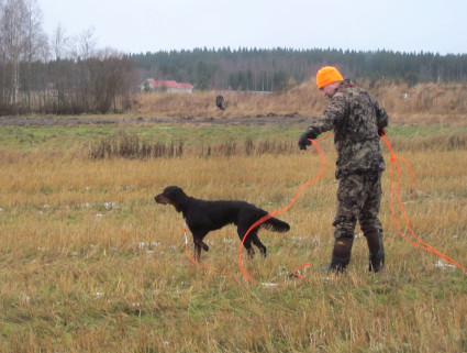 Master and his dog