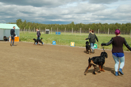 Rundia