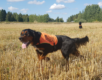 Isla ja Vattu