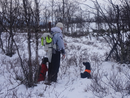 Noutolupa