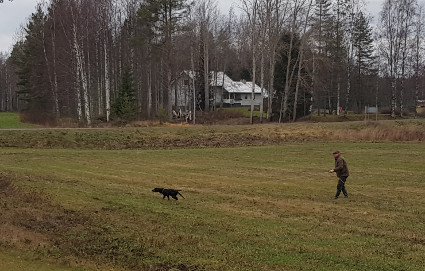 Hajulla