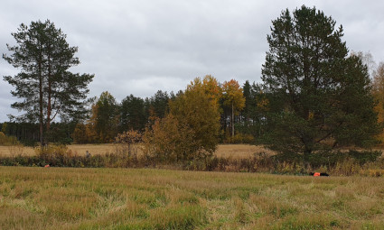 Isla ja Norja
