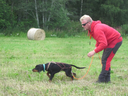 Jari ja Pelle