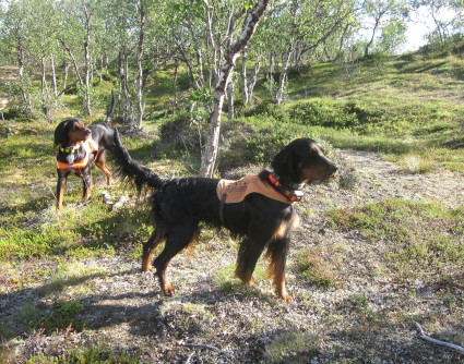 Norja ja Isla