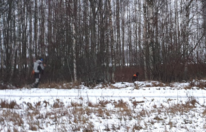 Jussi ja Vattu