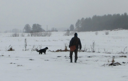 Sunnuntain otteita