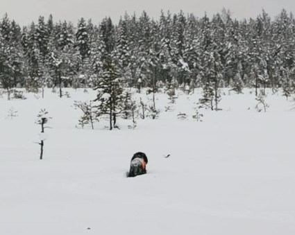 Nevalla