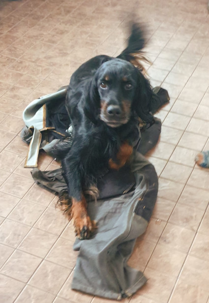 Vattu
