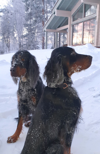 Vilu ja Norja