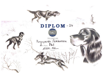 Diploomi