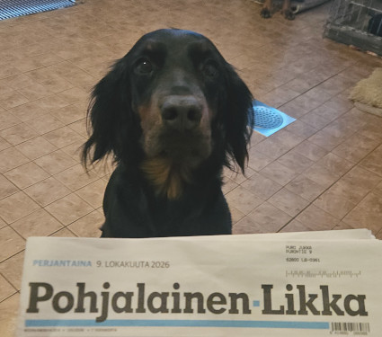 Pohjalainen Likka
